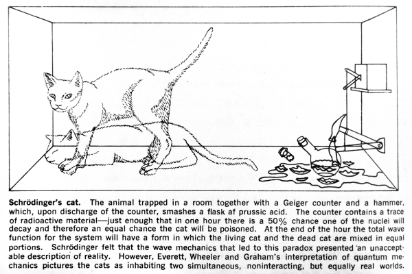 101.布莱斯德维特和尼尔格雷厄姆绘制的 “薛定谔的猫”悖论.jpg