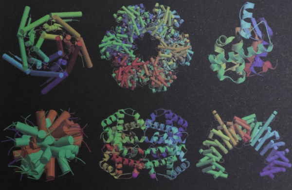90.用Molscript软件绘制的Ras p21蛋白图像.jpg